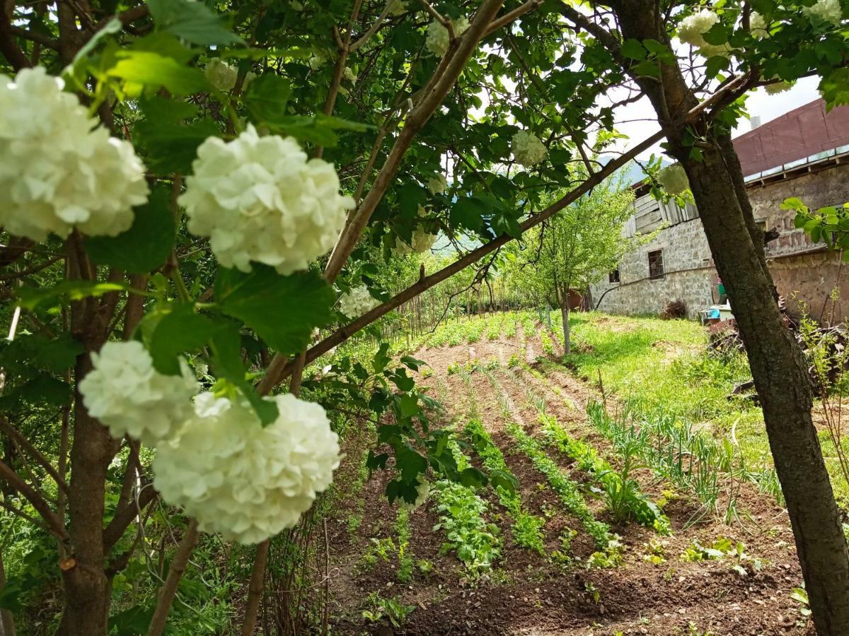 Rubina Bed And Breakfast Tatev Εξωτερικό φωτογραφία